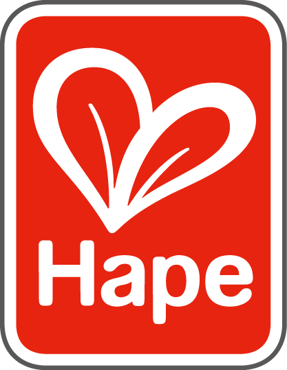Hape | All 4 Kids