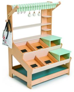Tender Leaf Toys Pretend General Store